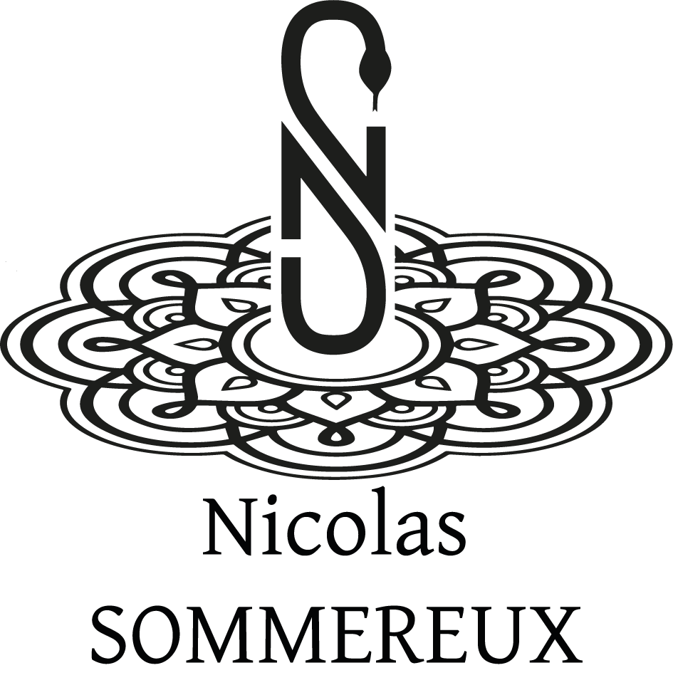 Nicolas voyage au cœur